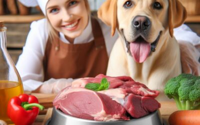 BARF für den Hund – für jeden geeignet?