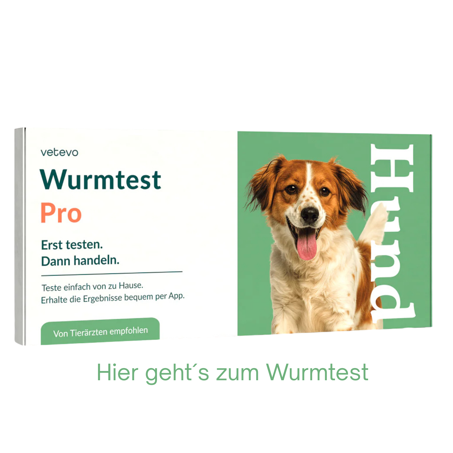 Wurmtest Pro Hund Wurmtest Pro Hund