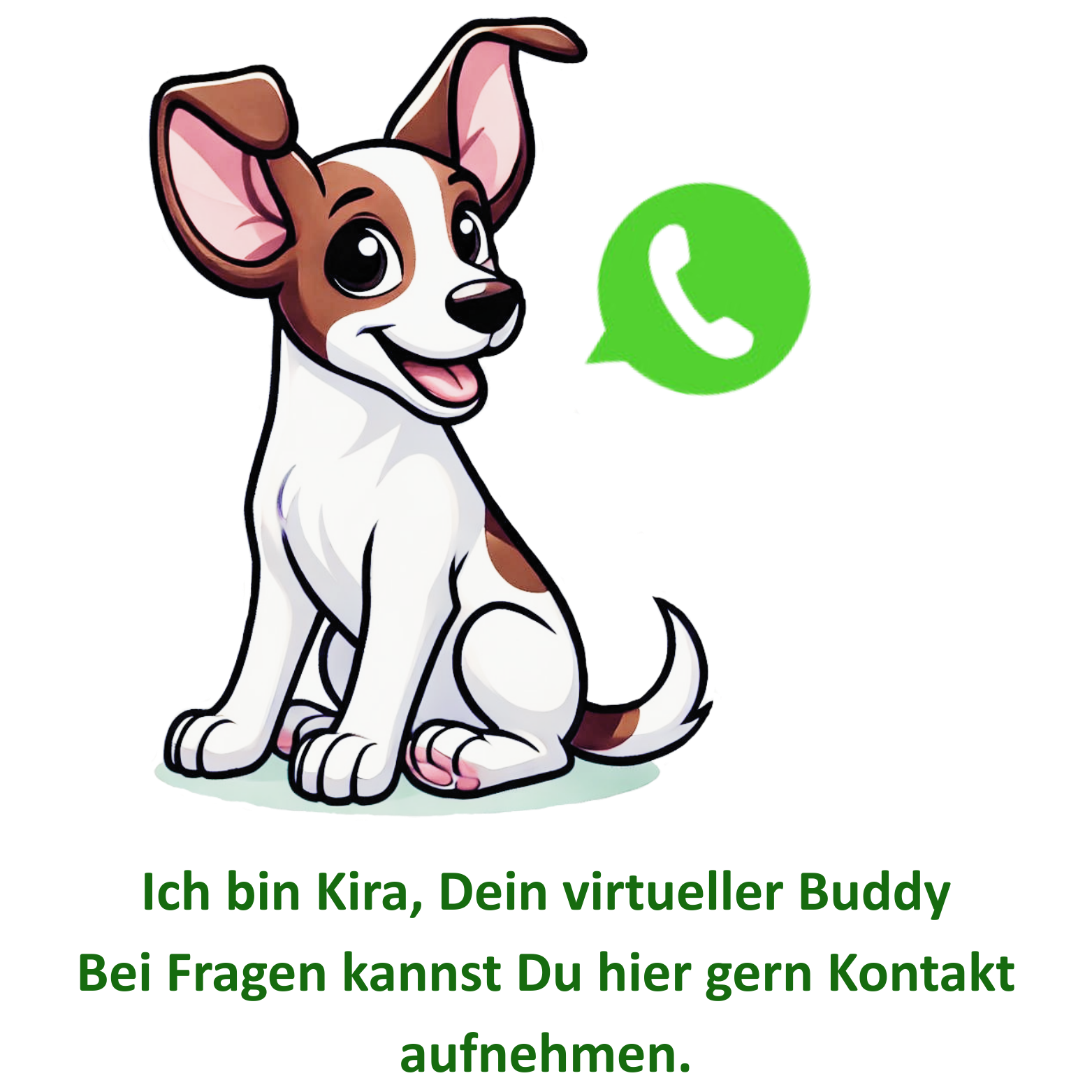 Ernährungsberatung Ernährungsberatung