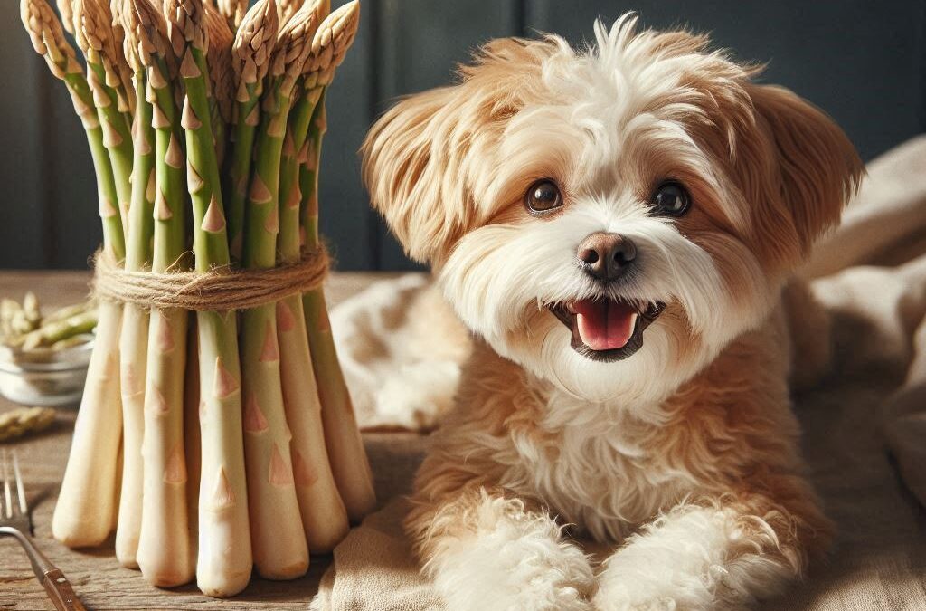 Dürfen Hunde Spargel essen? Das solltest du wirklich wissen
